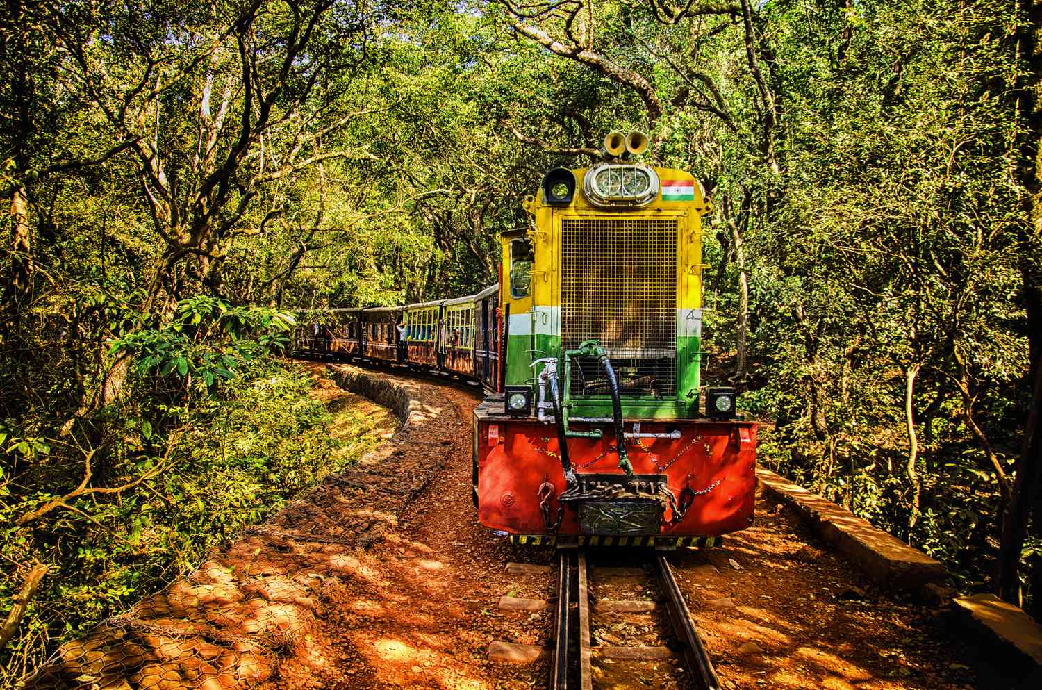 train- forest - greenery
