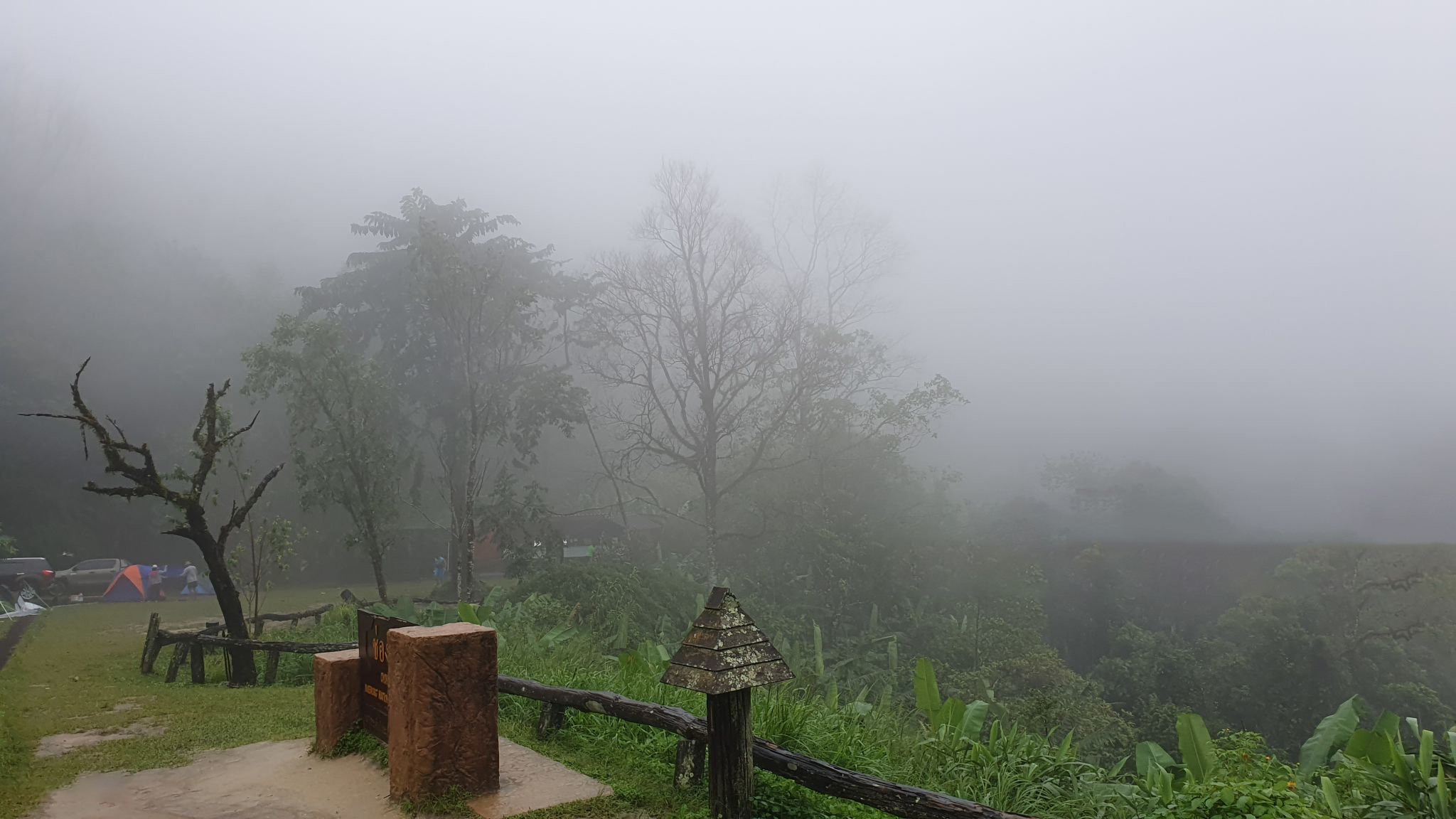 greenery-tourism-plants-hills