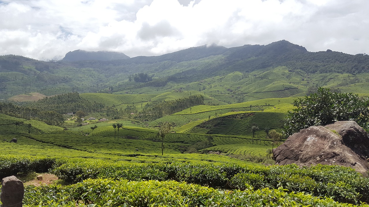 munna-ooty-greenery-peace