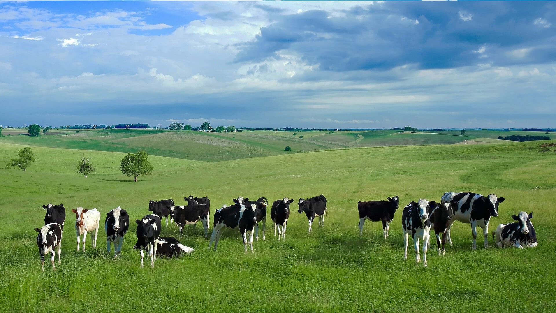 natural-milk-in-coimbatore