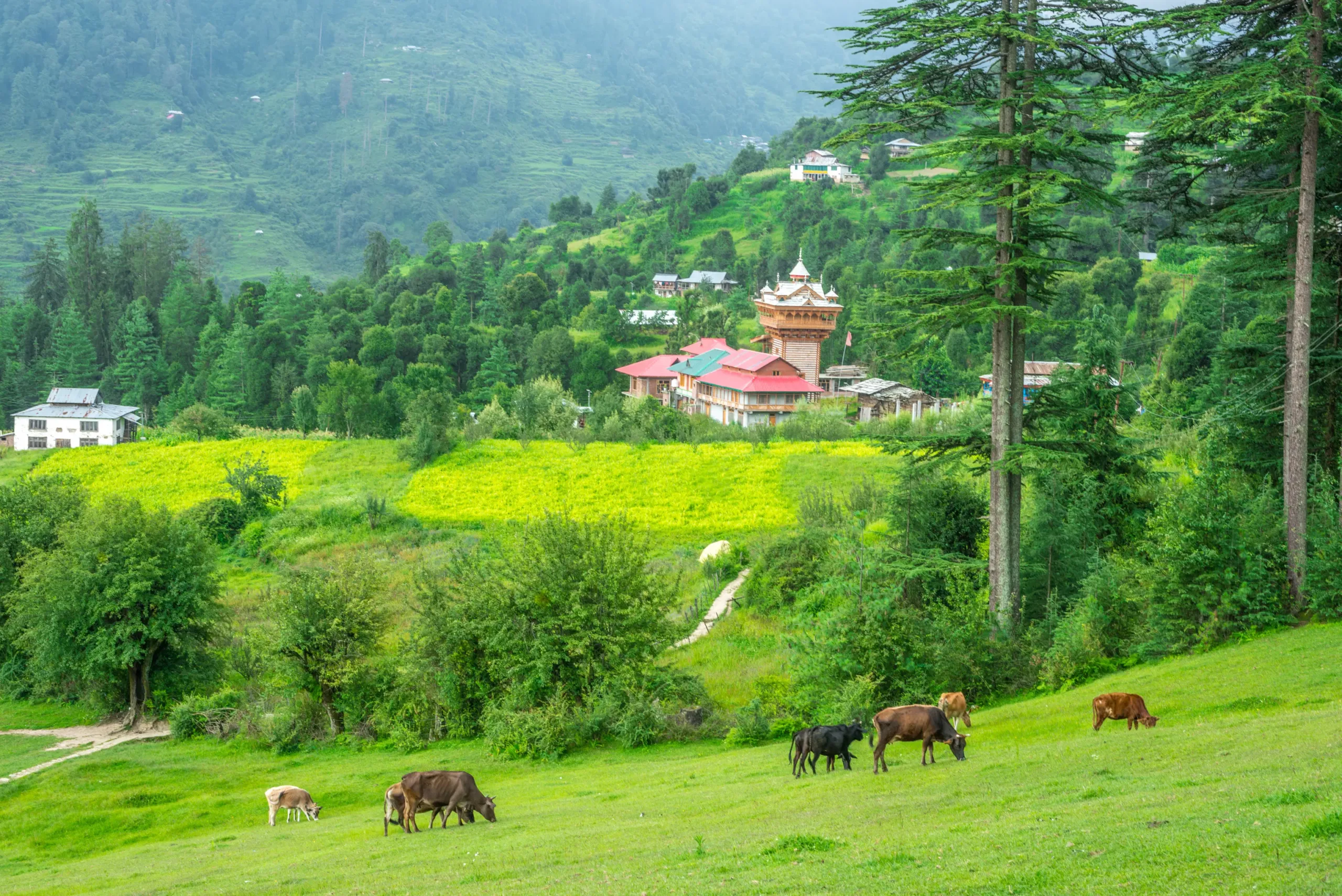 greenery